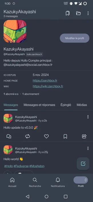 Screenshot de l'application Moshidon montrant mon profil sur mon instance Hollo.