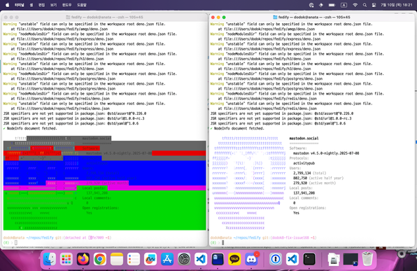 Side-by-side comparison of `fedify node` command output showing terminal favicon display. Left side shows broken display on terminal without truecolor support with corrupted color blocks. Right side shows proper display after the fix with clean, correctly rendered favicon and NodeInfo output including mastodon.social server information and statistics.